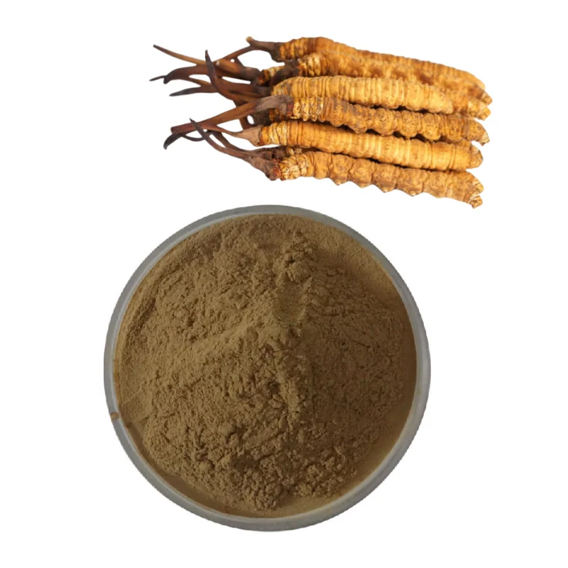 Китайский травяной экстракт грибка гусеницы китайский кордицепс sinensis