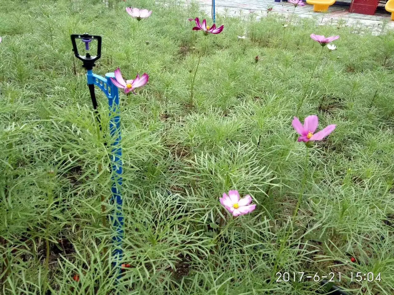 Greenhouse irrigation sprinkler standing one stake type for irrigation system vegetable flower mist sprinkler set