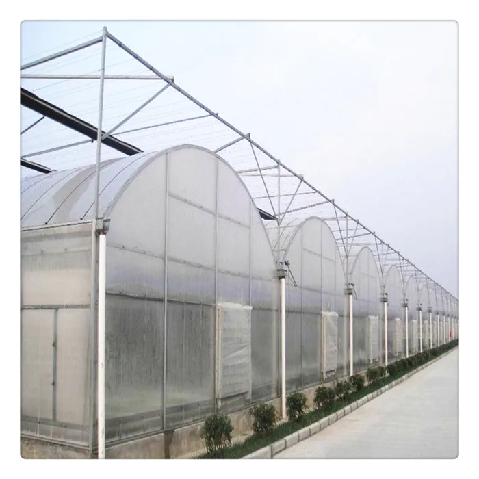  Cheap Price Shading System Plastic Shed Steel Frame Tomato Green House for