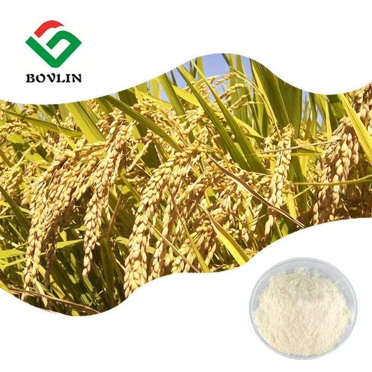 Food Grade Gamma Oryzanol Rice Extract Powder