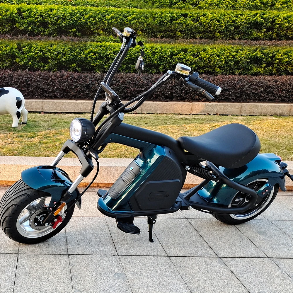 New model Factory Direct 2000/W3000W/4000W Newly designed EEC COC electric scooter Citycoco Adult edition