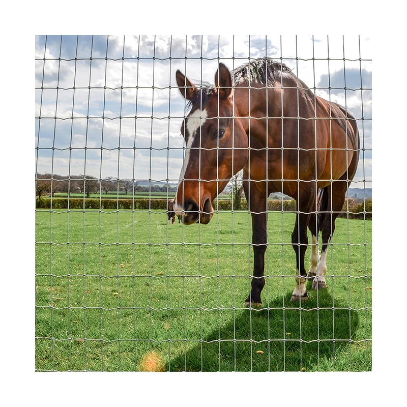 field farm fence wire mesh fence deer field sheep fence