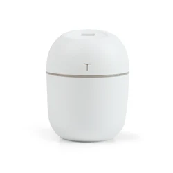 G02-0151  Factory Wholesale Portable Cute Cool Mist Personal Humidifier Mini 220ml Car Air Humidifier