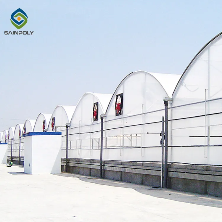 Commercial Hydroponic Plastic Film Green House Multi-span Agricultural Greenhouses