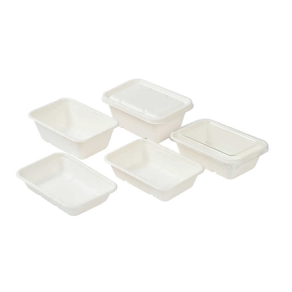 Wholesale Sugarcane Bagasse biodegradable Bento take away boxes compostable 450ml food container
