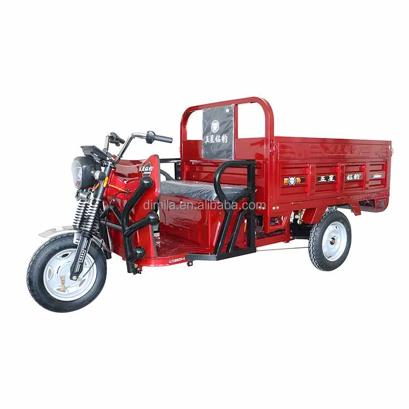 Грузовой трехколесный велосипед высокая крыша три двери одинаковая высота 1000 Вт 60 В внешний поручень подходит для взрослых