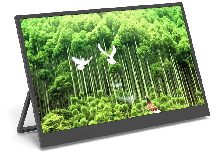 14 inches 60hz Black  warranty 1 year  1080P   speaker Portable monitors