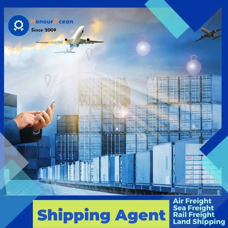 Professional Freight Forward Cheapest Rate LCL Sea Shipping Agent To France UK Italy