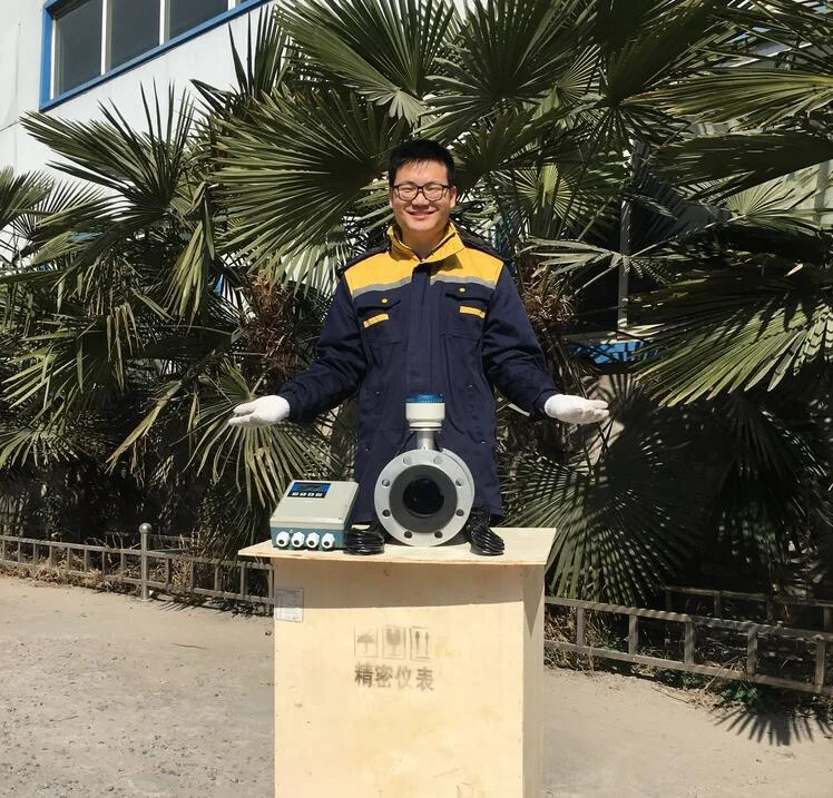 Intelligent 24V Remote IP68 Waterproof Large-caliber 10 Inch 250mm Sulphuric Acid H2SO4 Electromagnetic Water Meter Flowmeter