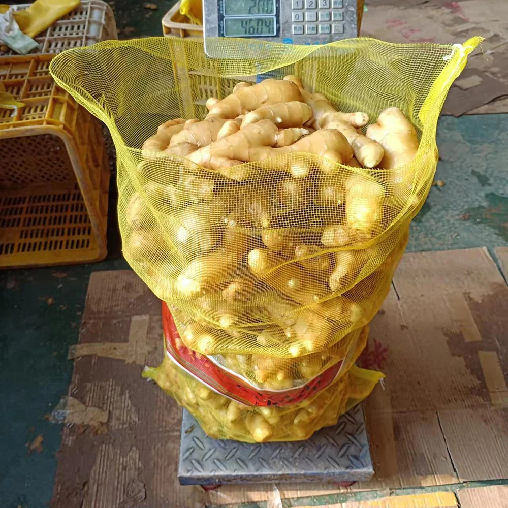 High quality of new crop Fresh ginger air dry or dried ginger root market price