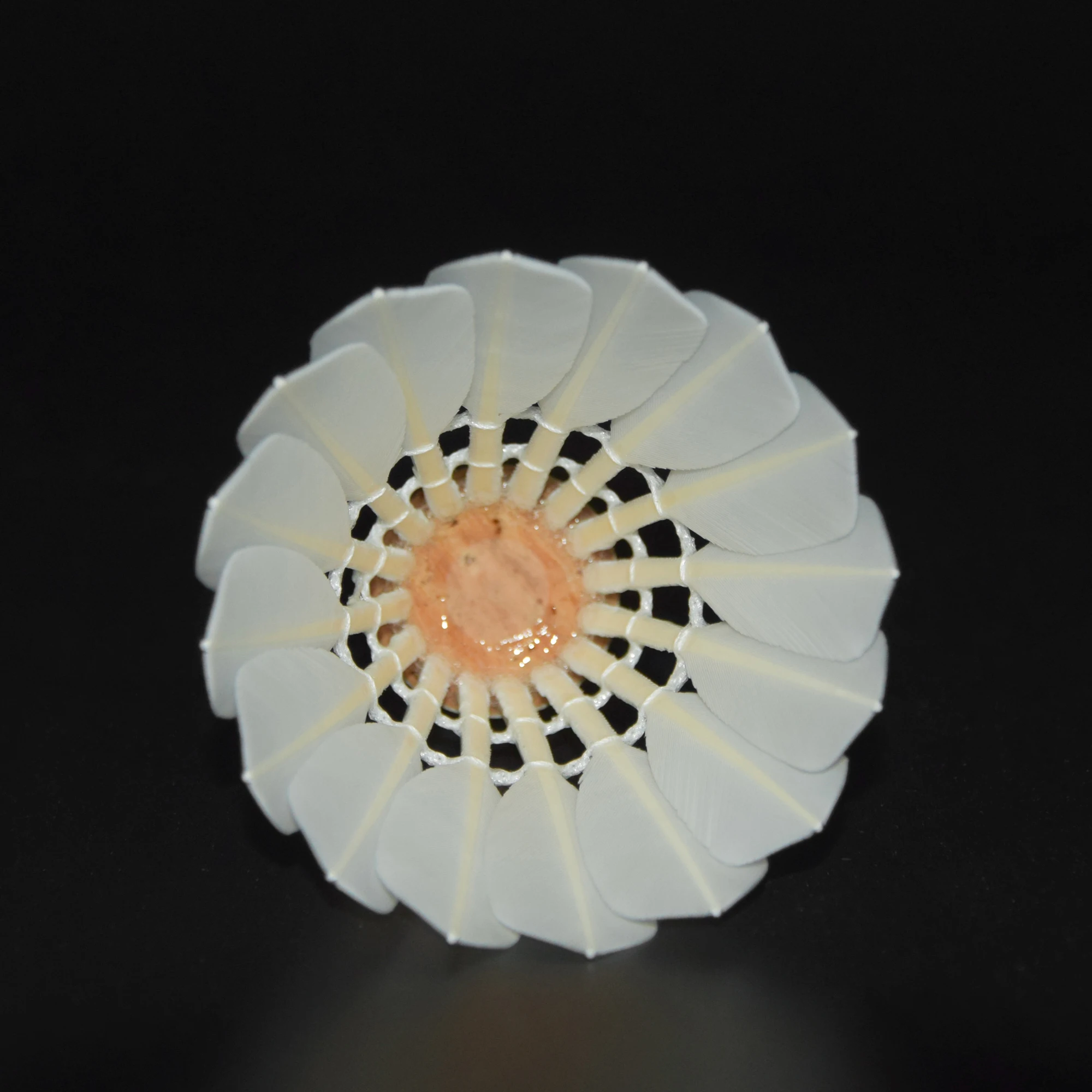 Buy Badminton Online Quality Glow Durable For Training