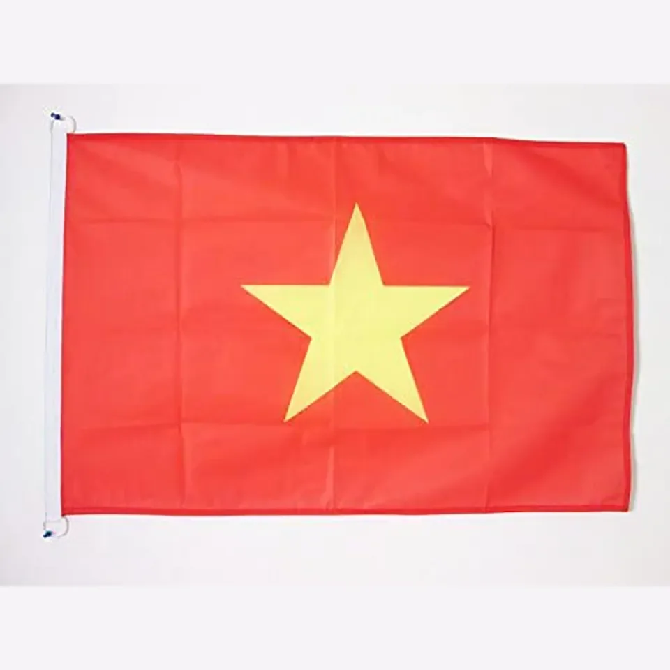 Hot Sale Custom Printing 3*5ft100%Polyester national Flag Used for Decoration Custom Vietnam flag