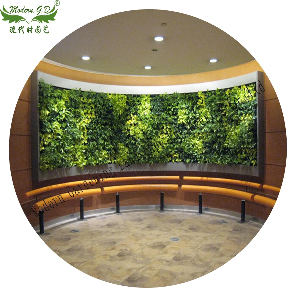 Vertical green planter wall garden pot air plants frame  tillandsia wall  display succulent stand flower