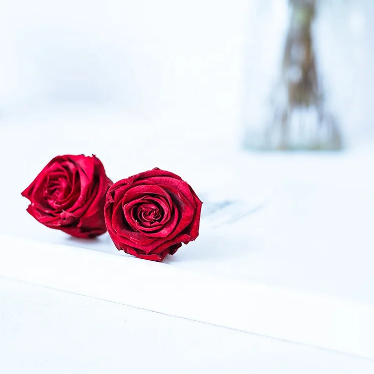 Wholesale price preserved rose flower shop furniture wedding arch wood preserved roses