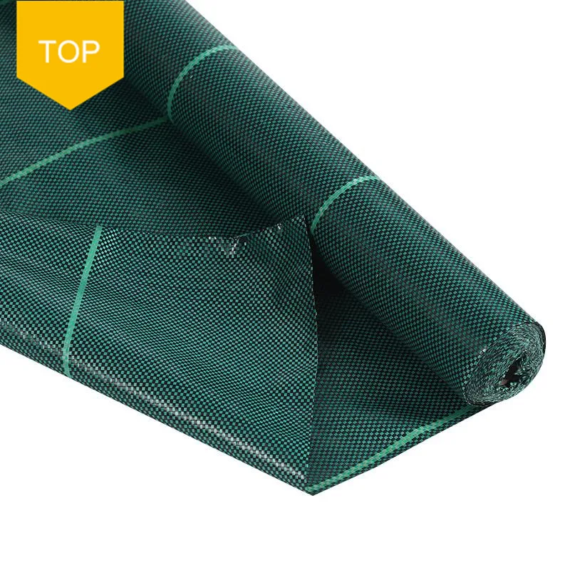 Fast Delivery Greenhouse Nursery Plants PP Ground Cover Anti Grass Cloth Weed Mat Fabric