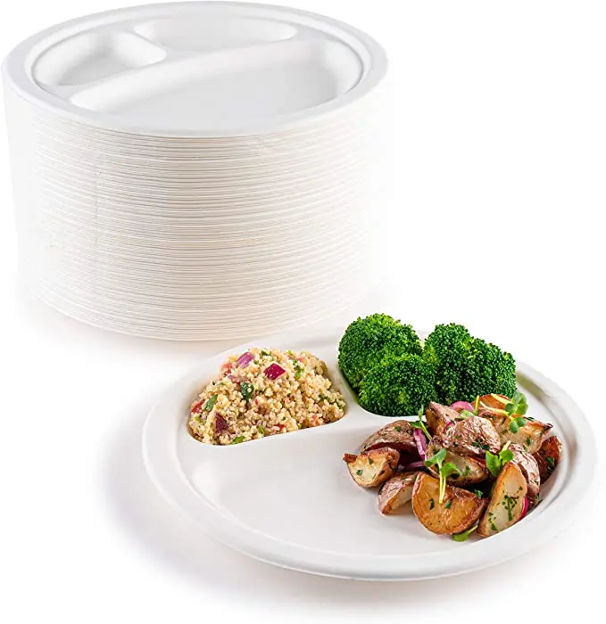 Disposable Sugarcane 10 * 8 inch Bagasse School Lunch Tray Perfect for Boys and Girls Compostable 5 Compartment Plate
