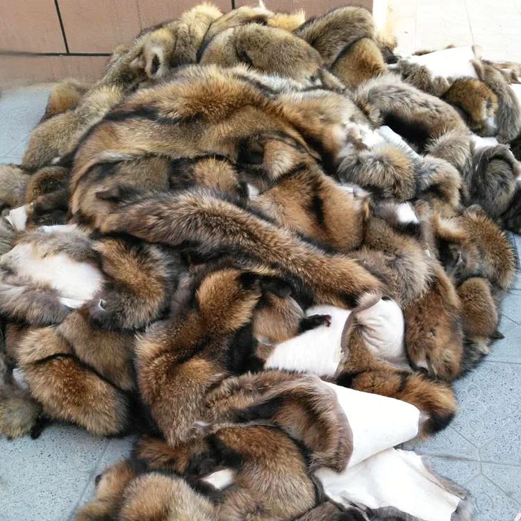 XJ Wholesale High Quality Super Soft Fluffy Large Natural Animal Pelt Real Raccoon Fur pelt raccoon fur materials