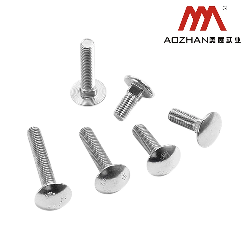 High quality price concessions DIN603 SS304 Coach bolts industrial use Coach  bolts