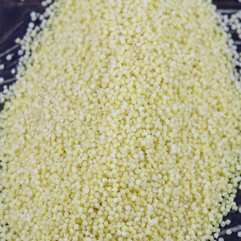 Nature yellow millet in husk For Bird Feeds Cheap polished millet groats White Red Black Yellow millet