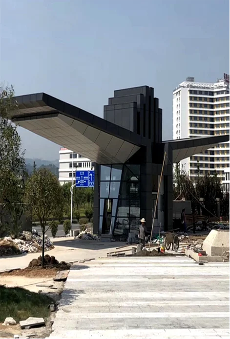 Custom Shaped aluminum veneer decorative wall perforated shape curtain wall