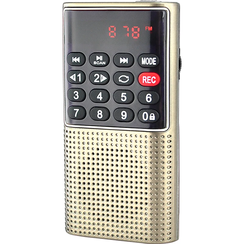 Dewant L-328 fm радио Диктофон SD/TF карты мини mp3 плеер со встроенным