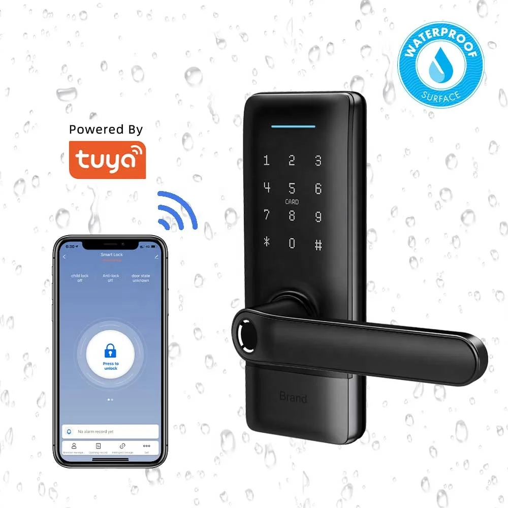 Security Keyless Electronic Door Lock  WiFi Smart Biometric Fingerprint Door Lock  App Digital Fingerprint Door Lock