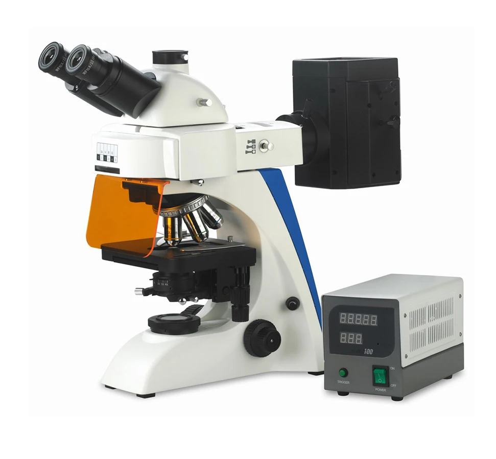 BK5000 BK-FL2/FL4 Series Fluorescence Microscope with HD lite Camera