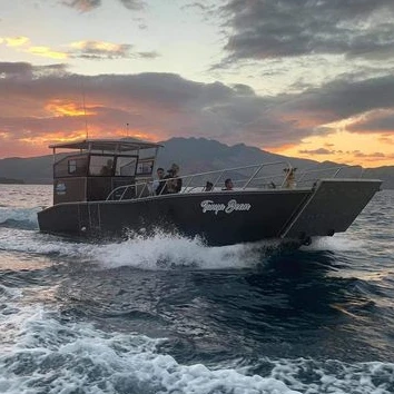 Poseidon Versatile 10m 32ft Aluminum Commercial Landing Craft Barge Work Boat Passenger Ship For Excavator