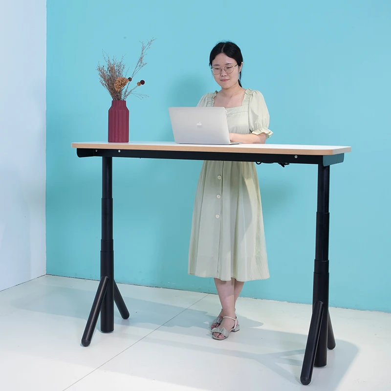 Electric Stand Up Desk Frame Lifting Sit Stand Mobile Desk Table Single Motor Height Adjustable Standing Desk