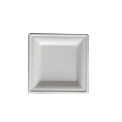 Disposable Paper Square Plates Biodegradable Square Dinner Plates White 10 Inch 6 Inch 8Inch Square Plate Bagasses Paper Pulp