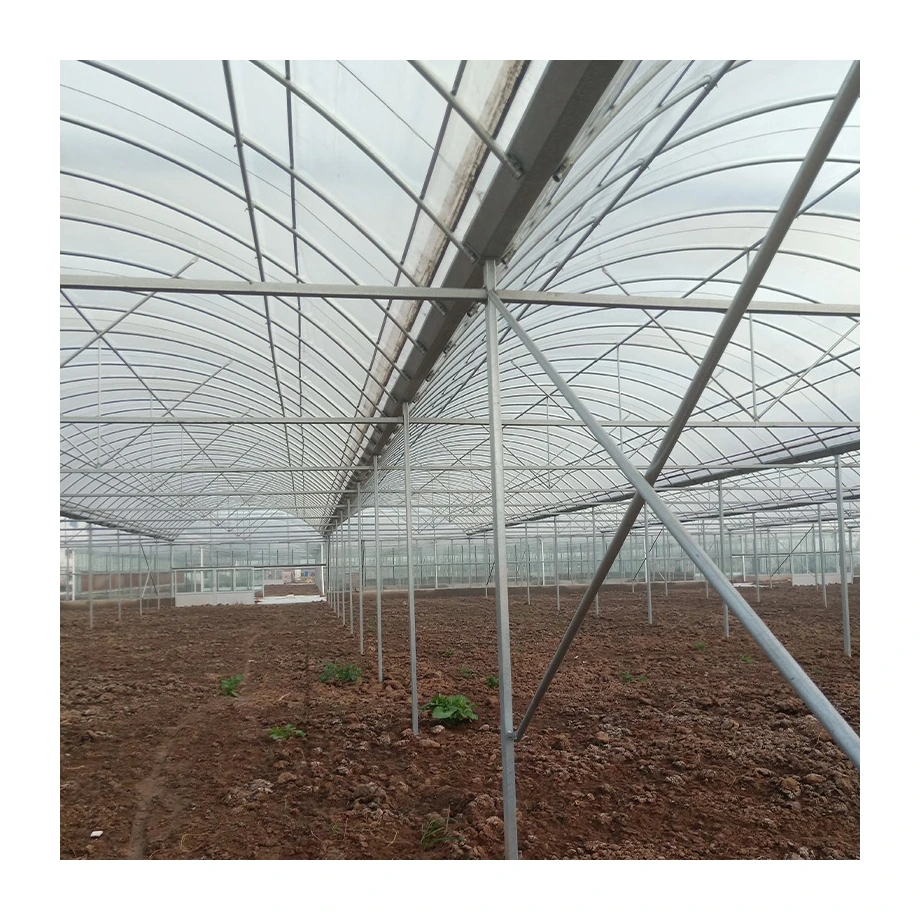 
Good quality multi-span greenhouses greenhouses for sale green house greenhouse 