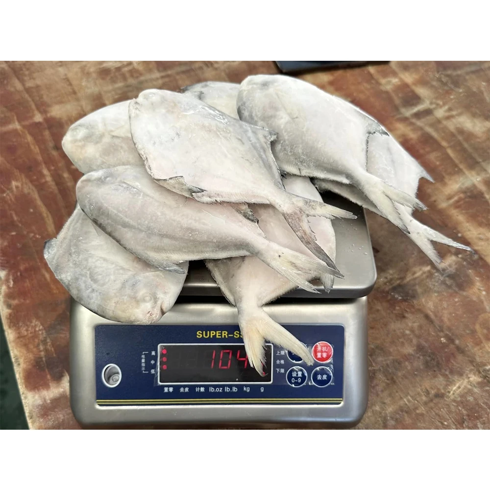 wholesale silver pomfret fish frozen silver pomfret fish