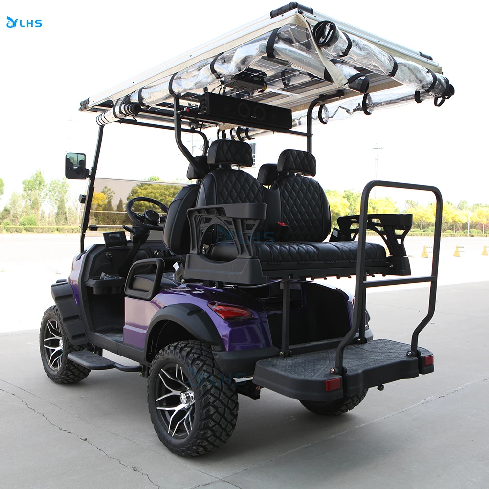 Fast selling old buggy golf car premium golf trolley electric lux electric utility golf cart with curtis controller