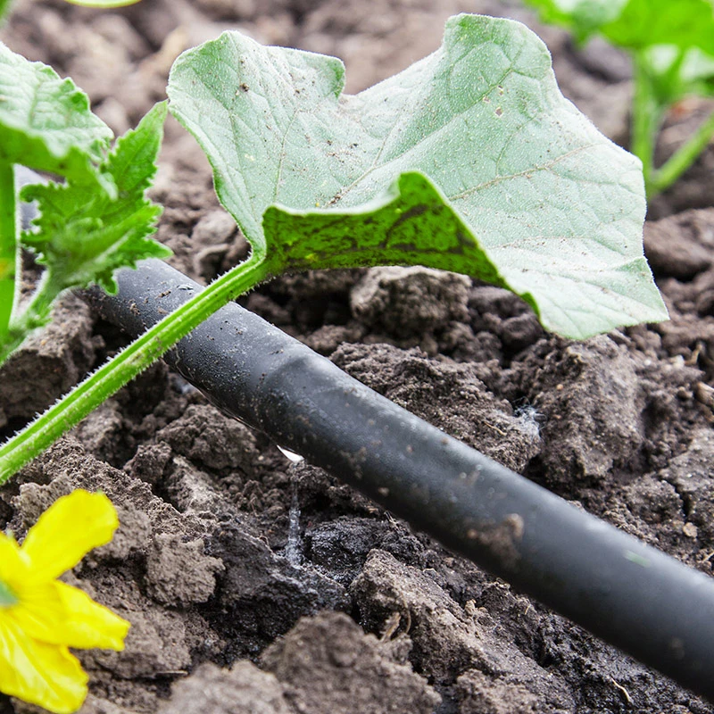 Drip Irrigation farmfield greenhouse Agricultural watering irrigation systems drip pipe for Horticultural greenhouse