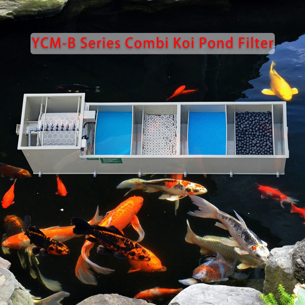 QihangRAS Garden Pond Filter Aquaculture Fish Farm Filtration System Bio Filtration 50m3/H Combi Rotary Drum Filter For Koi Pond