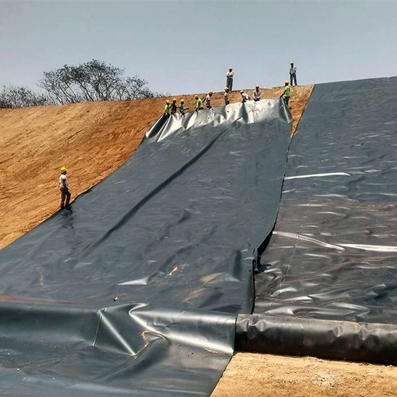 HDPE LDPE LLDPE PVC EPDM 1mm Dam Fish Farm Pond Liner 1.5mm 2mm Landfill Biodigester Liners Geomembrane