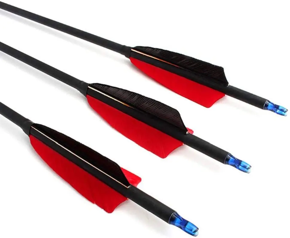 12 Pack Mix Carbon  30/31 Inch Hunting Archery bow and  arrow 100 Grain Points Targeting Compound/Recurve/Long  shooting arrow