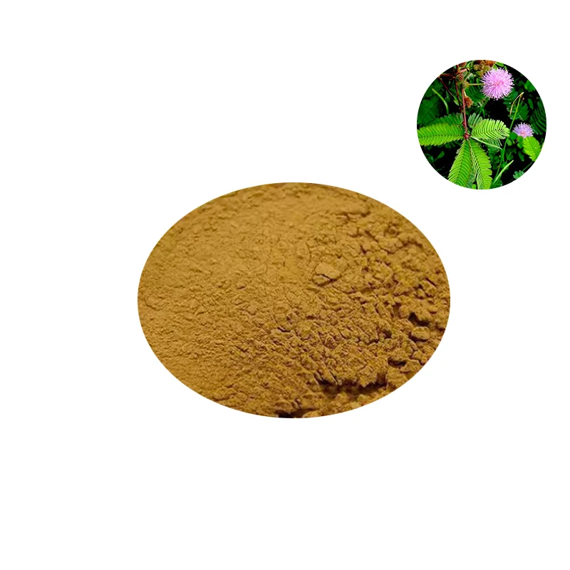 Factory Supply Mimosa Pudica 20:1 Plant Mimosa Pudica Root Bark Extract Powder 10:1 Mimosa Pudica Powder
