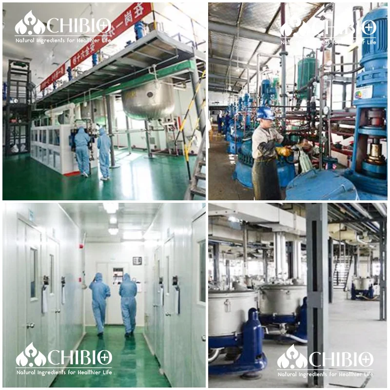 ISO Certificate Food Grade Factory supply Aspergillus niger Chitosan Powder for grape juice making