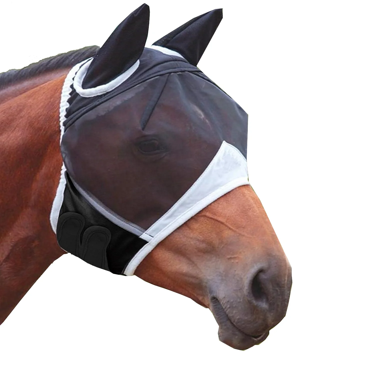 Waterproof and Breathable Turnout Horse Sheet