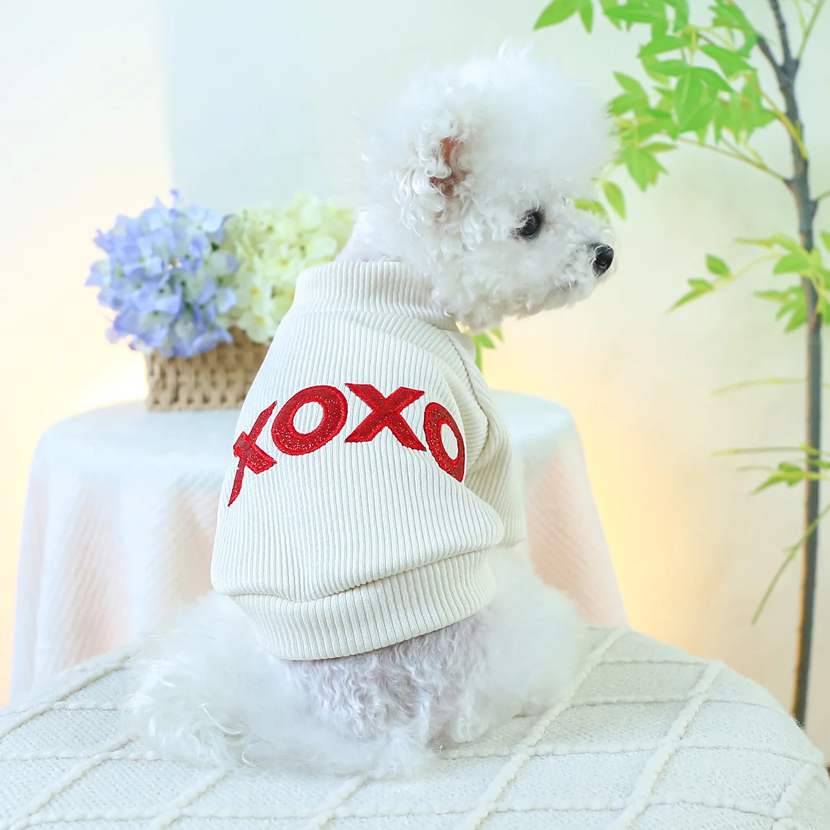 Fall Winter Pet Dogs Clothes Fashion Design Dog Clothing Pet Clothes Letters Embroidery Twoo Feet Dog Sweater Shirt