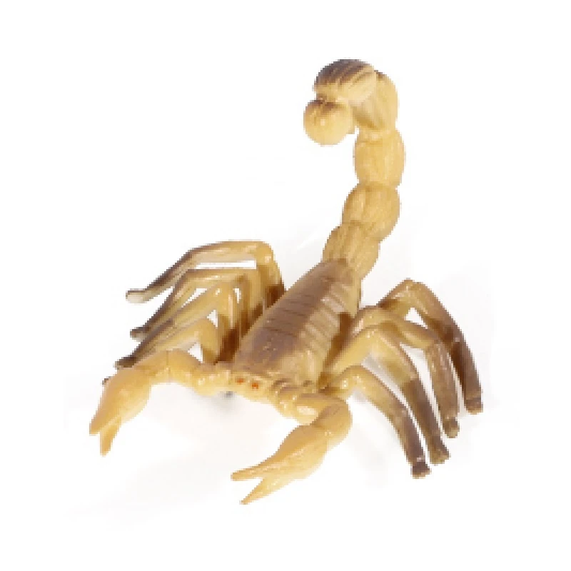 7.5CM Arthropod Animals Model 3D Insect Series Plastic Rubber Yellow Color Scorpion PVC Toy For Sale