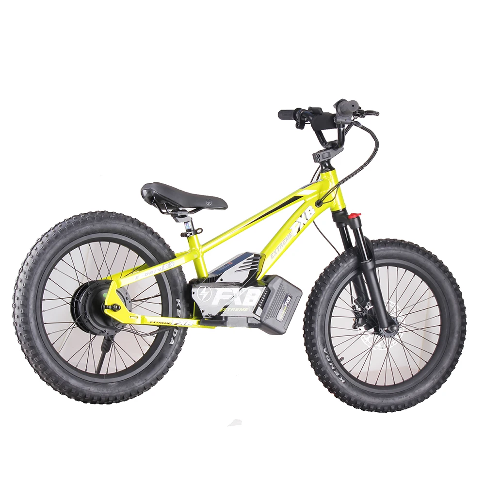20inch Kids&Adult Electric Balance Bike 36V 800W Hub Motor Ebike 36V 10Ah Lithium Battery Electric Push bike