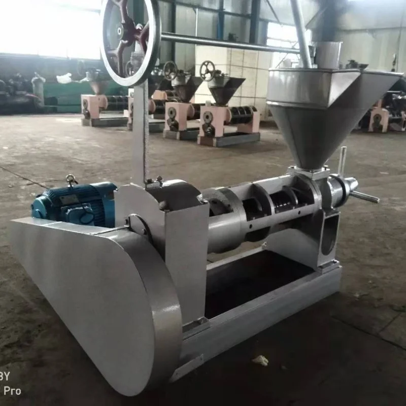 100kg Per Hour Coconut Oil Making Machine Coconut Oil Press Machine Copra Oil Pressing Machinery