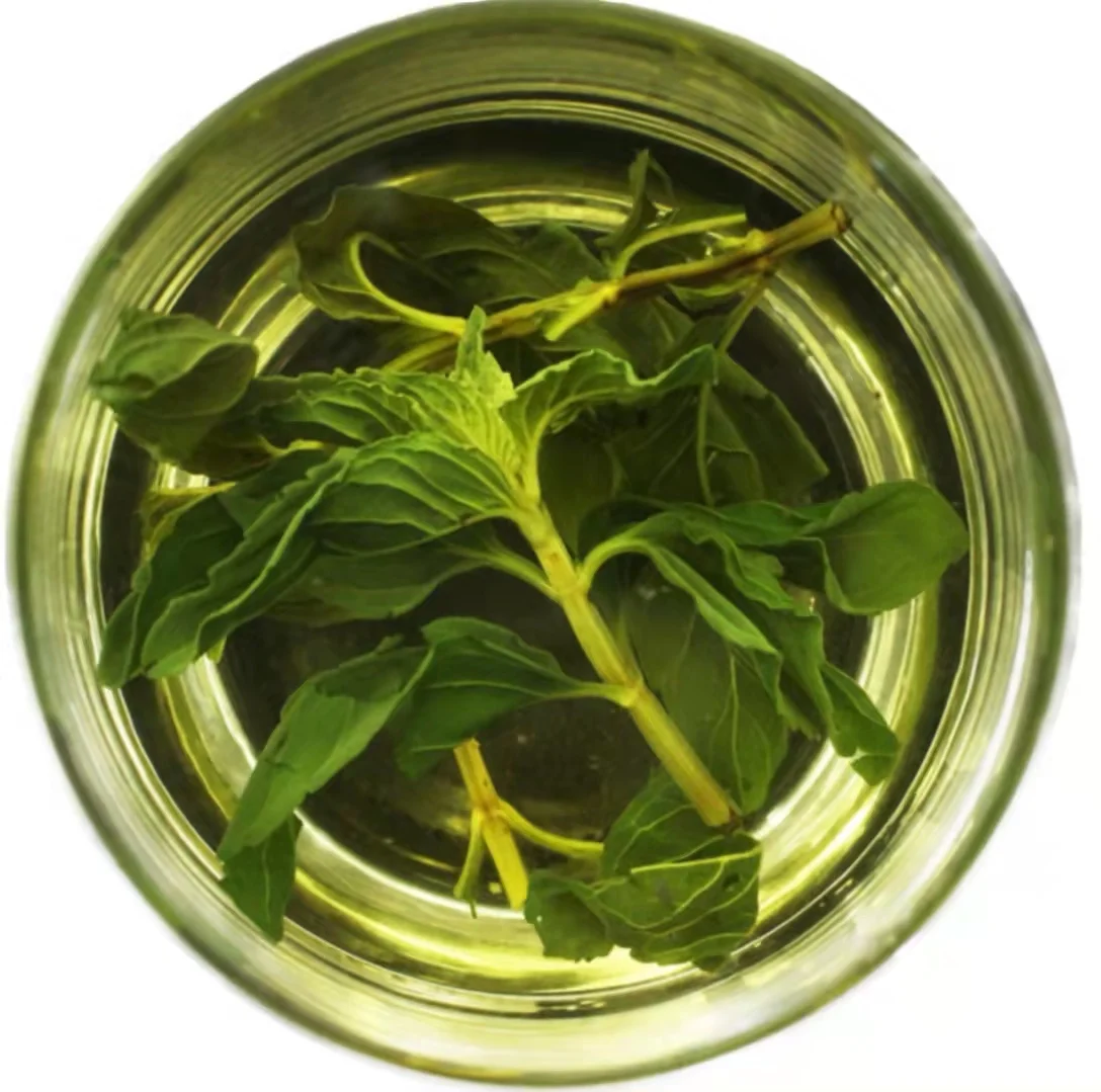 Высушенный листовой чай с перечной мятой, освежающий дышащий высушенный китайский травяной чай, листья перечной мяты, мятный чай