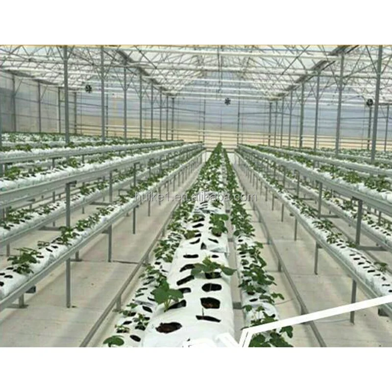 Прямые продажи с завода экономичная и прочная дешевая цена для многоразового клубничного мешка складной