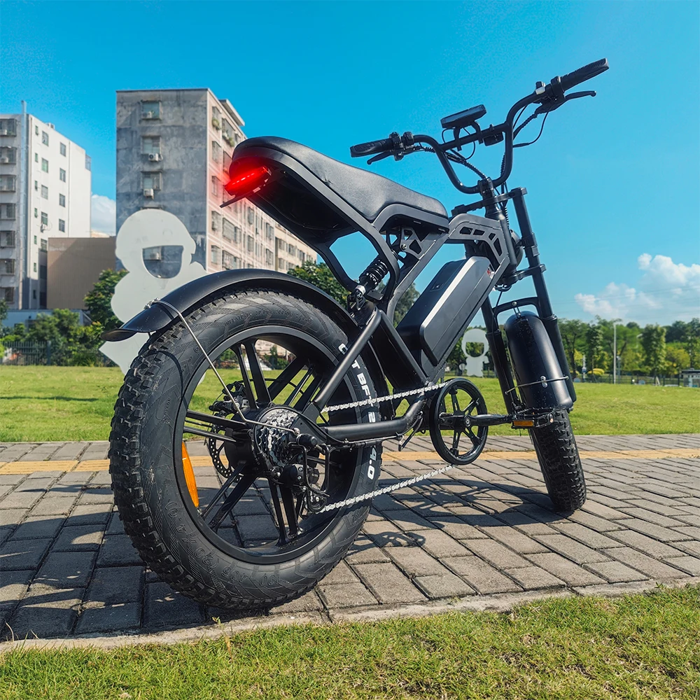 EU Stock Ebike 750W Electric Bike 20'*4 Big Tire Fat Bike Electric Mountain City Ride Off Road Electric Bikes