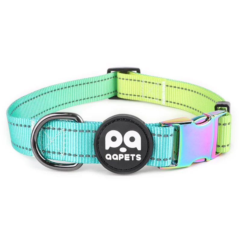 Christmas light up dog collar hardware collar dog name reflective hunting dog collar