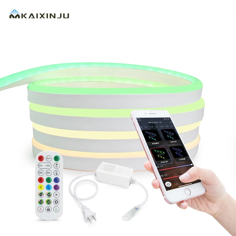 Led Neon Strip Light Manufacturer RGBIC Led Rope Light 24v Neon Flex Signs Smart Wifi APP Control Addressable Neon RGB Led Strip