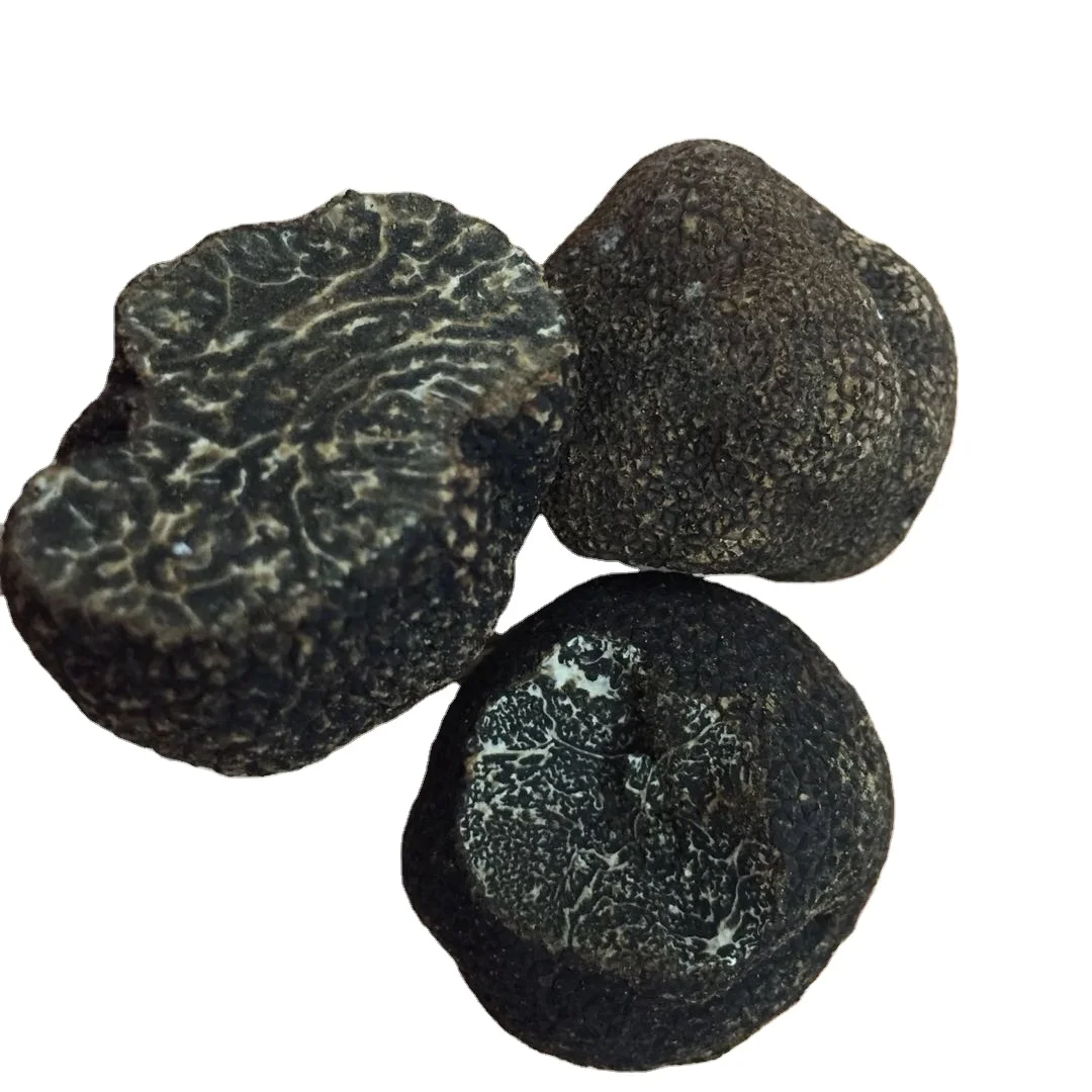 2023 - 2024 New Season DETAN Wild Chinese Fresh Black Truffle Mushroom